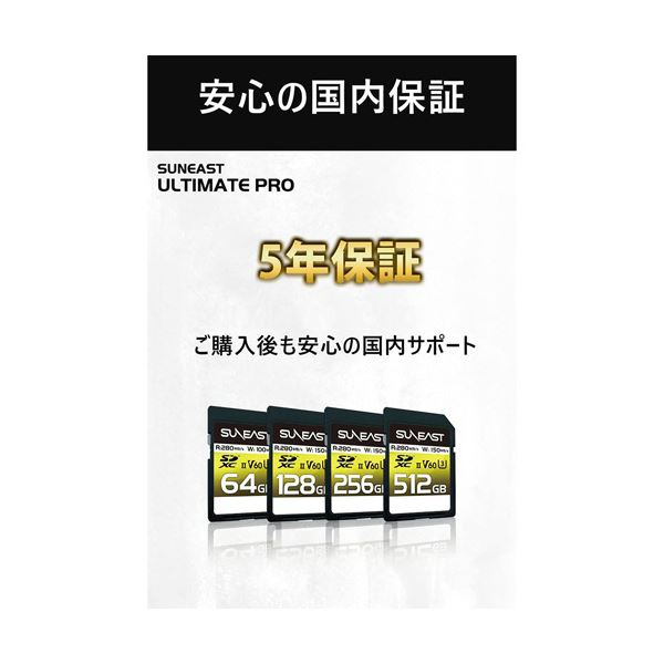 旭東エレクトロニクス SUNEAST SDXC UHS-II カード 256GB V60 SE-SDU2256GB2801枚