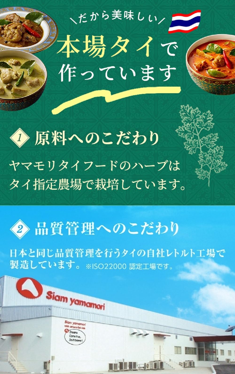 ヤマモリ タイカレー 10品 アソート