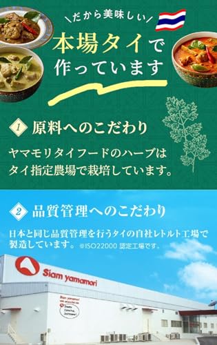 ヤマモリ タイカレー 10品 アソート