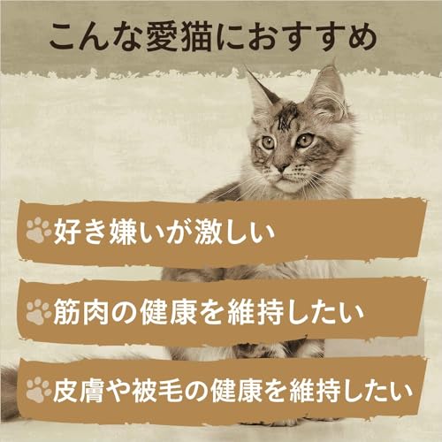 Nutro ニュートロ キャット ワイルド レシピ アダルト チキン 成猫用 2kg キャットフード【グレインフリー/グルテンフリー/香料・着色料 無添加/総合栄養食/】