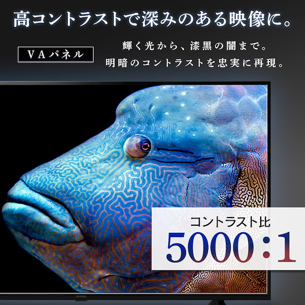 Qoo10] アイリスオーヤマ 【目玉商品】【公式】 テレビ 65型 F