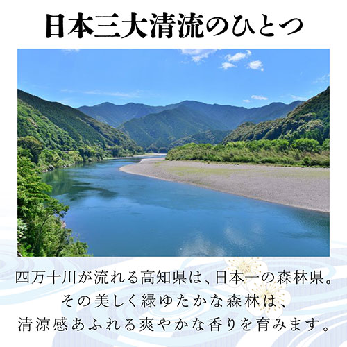 清涼感あふれる豊かなかおり 日本の枕/総ひのき ベージュ 清涼感あふれる豊かなかおり 日本の枕/総ひのき ベージュ