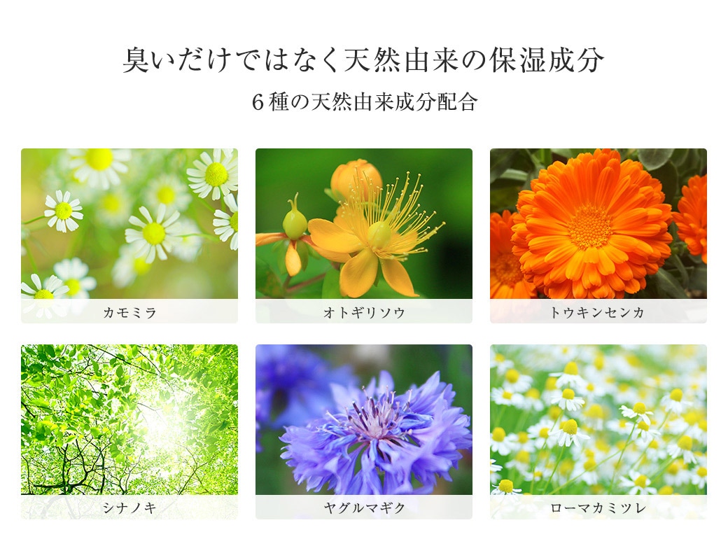 医薬部外品 dot. 柿 デオドラント ボディーソープ ２本セット (bodysoap) ワキガ 加齢臭 石鹸 汗臭 足臭 わきが対策 カキタンニン 柿タンニン メンズ レディース ユニセックス