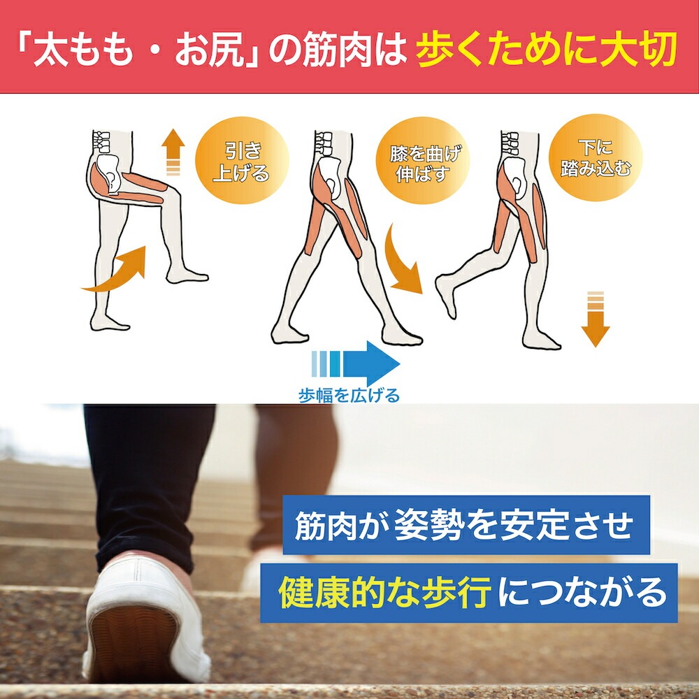 【正規販売店】カルフット Calfoot EMSパッド 千葉真子 足の筋トレ フットトレーニング 高齢者 トレーニング 座ったまま フットマッサージャー 足裏 足用 脚用 脚裏 ダイエット器具 ゲルパ 【正規販売店】カルフット Calfoot EMSパッド 千葉真子 足の筋トレ フットトレーニング 高齢者 トレーニング 座ったまま フットマッサージャー 足裏 足用 脚用 脚裏 ダイエット器具 ゲルパ