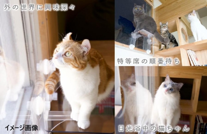 キャットステップ 窓用 PE4022 キャットステップ 窓用 PE4022