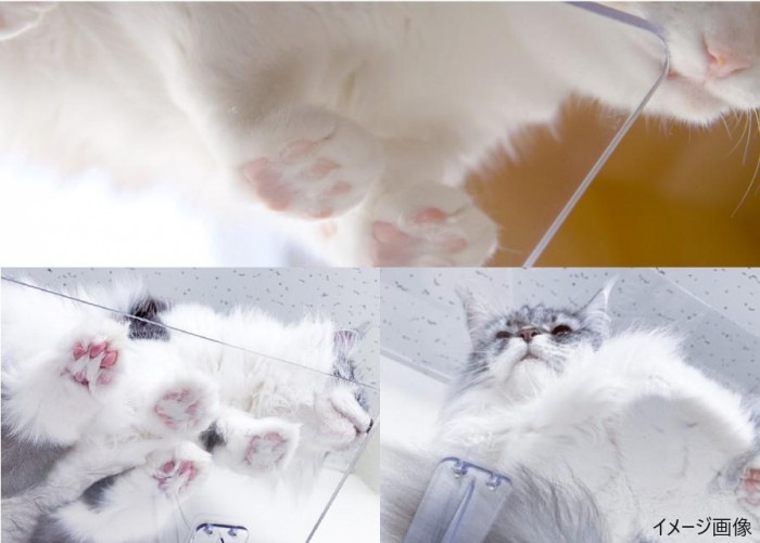 キャットステップ 窓用 PE4022 キャットステップ 窓用 PE4022