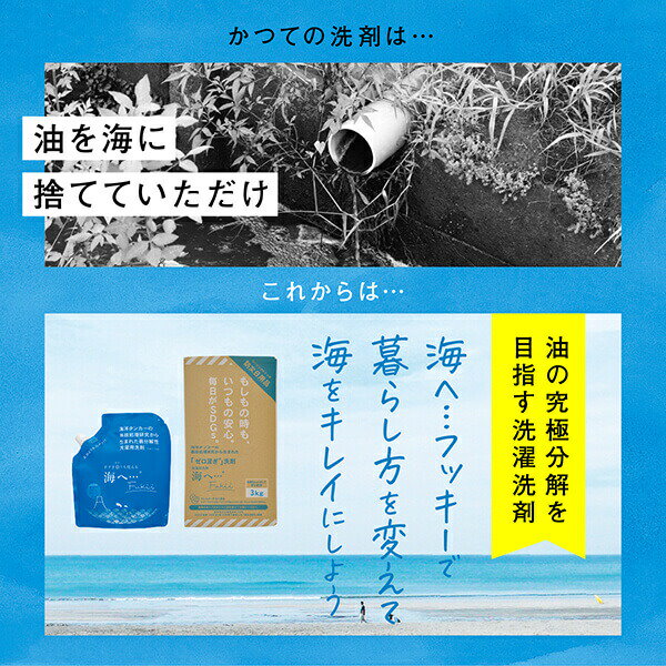 Qoo10] 海へ 海へ…Fukii 詰替パック380g が