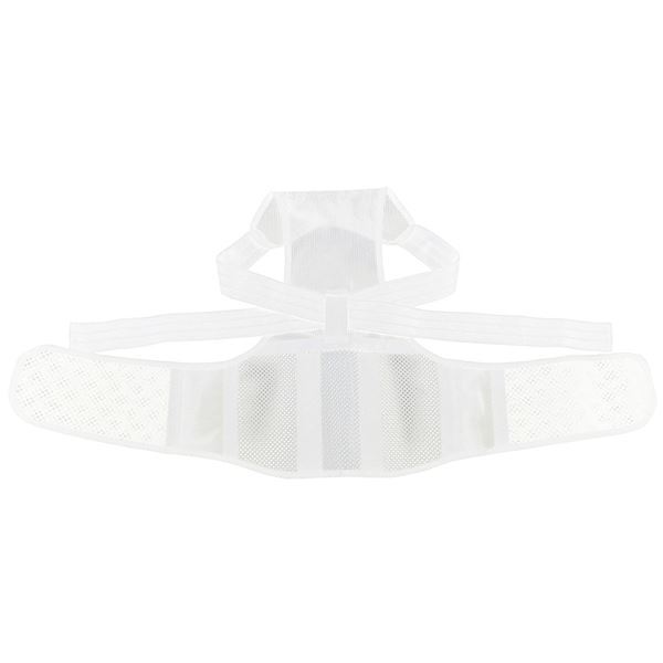 骨盤グイッと背筋Sラインベルト ホワイトSM 骨盤グイッと背筋Sラインベルト ホワイトSM