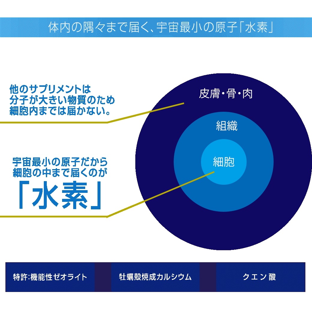 Drs 水素セレブ 90粒 【正規品】 水素 高濃度 持続性水素 サプリメント クエン酸 ゼオライト 国内産 (SHOP K オリジナル ピルケース付き) Drs 水素セレブ 90粒 【正規品】 水素 高濃度 持続性水素 サプリメント クエン酸 ゼオライト 国内産 (SHOP K オリジナル ピルケース付き)