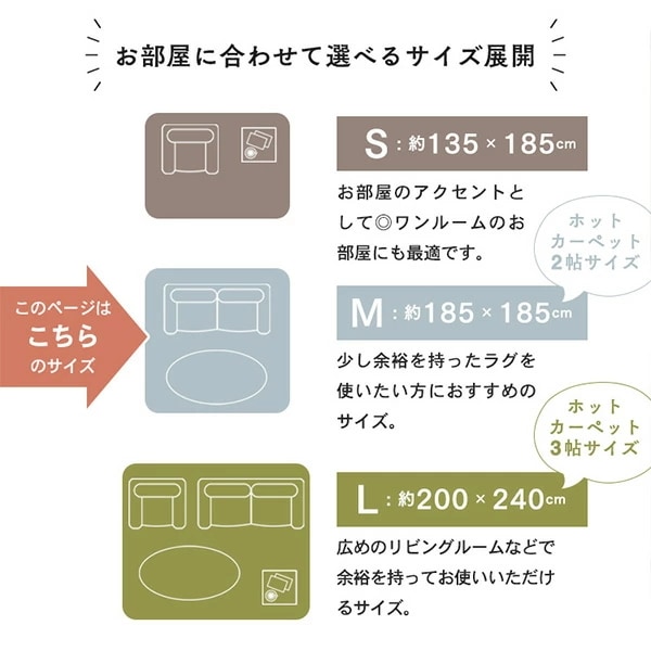 極厚 フランネル ラグ 抗菌 防臭 防ダニ 2畳 185×185cm フランネルラグ ラグマット カーペット マット 絨毯 ホットカーペット ホットカーペットカバー 床暖房 センターラグ リビングラグ