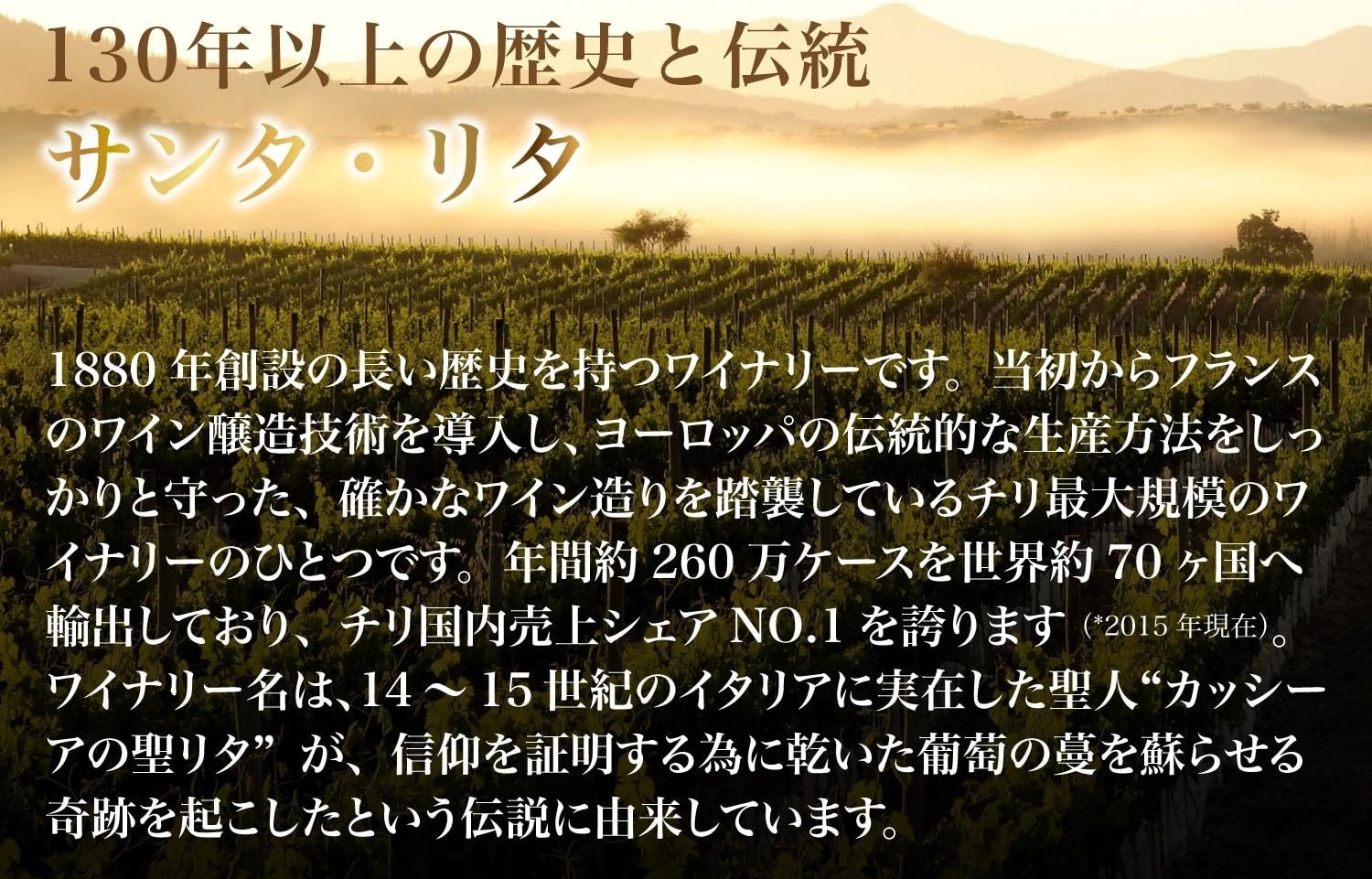 サンタリタ「スリーメダルズ」メルロー 750ml×12本/1ケース_2