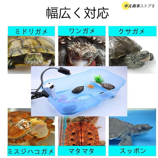 Qoo10] 亀 水槽 カメ 飼育ケース 60CM ボ