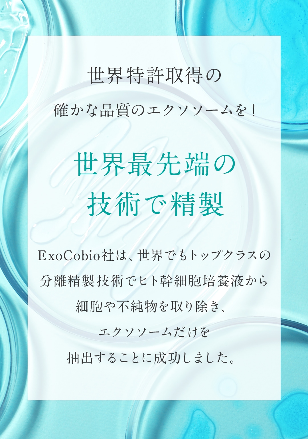 【TVで話題のエクソソーム高配合】 セラム 33ml 美容液 ヒト脂肪間質細胞エクソソーム 150億個 プラセンタ 敏感肌 ニキビ 美容皮膚科監修 ドクターズコスメ 日本製 【TVで話題のエクソソーム高配合】 セラム 33ml 美容液 ヒト脂肪間質細胞エクソソーム 150億個 プラセンタ 敏感肌 ニキビ 美容皮膚科監修 ドクターズコスメ 日本製