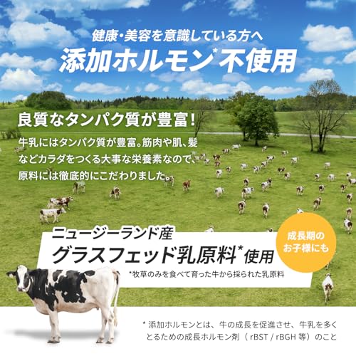 BAZOOKA NUTRITION バズーカニュートリション ホエイ プロテイン バズーカ岡田 監修 WPC チョコレート風味 国内製造 グラスフェッド 人工甘味料不使用 BAZOOKA NUTRITION バズーカニュートリション ホエイ プロテイン バズーカ岡田 監修 WPC チョコレート風味 国内製造 グラスフェッド 人工甘味料不使用