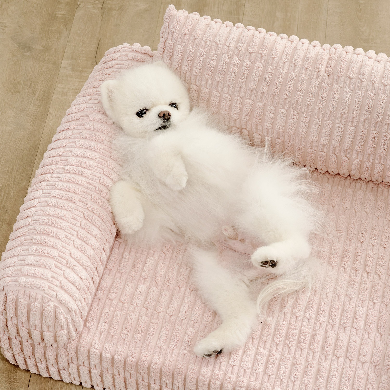 3色] 犬クッション BONGBONG ペットソファー ペットベッド