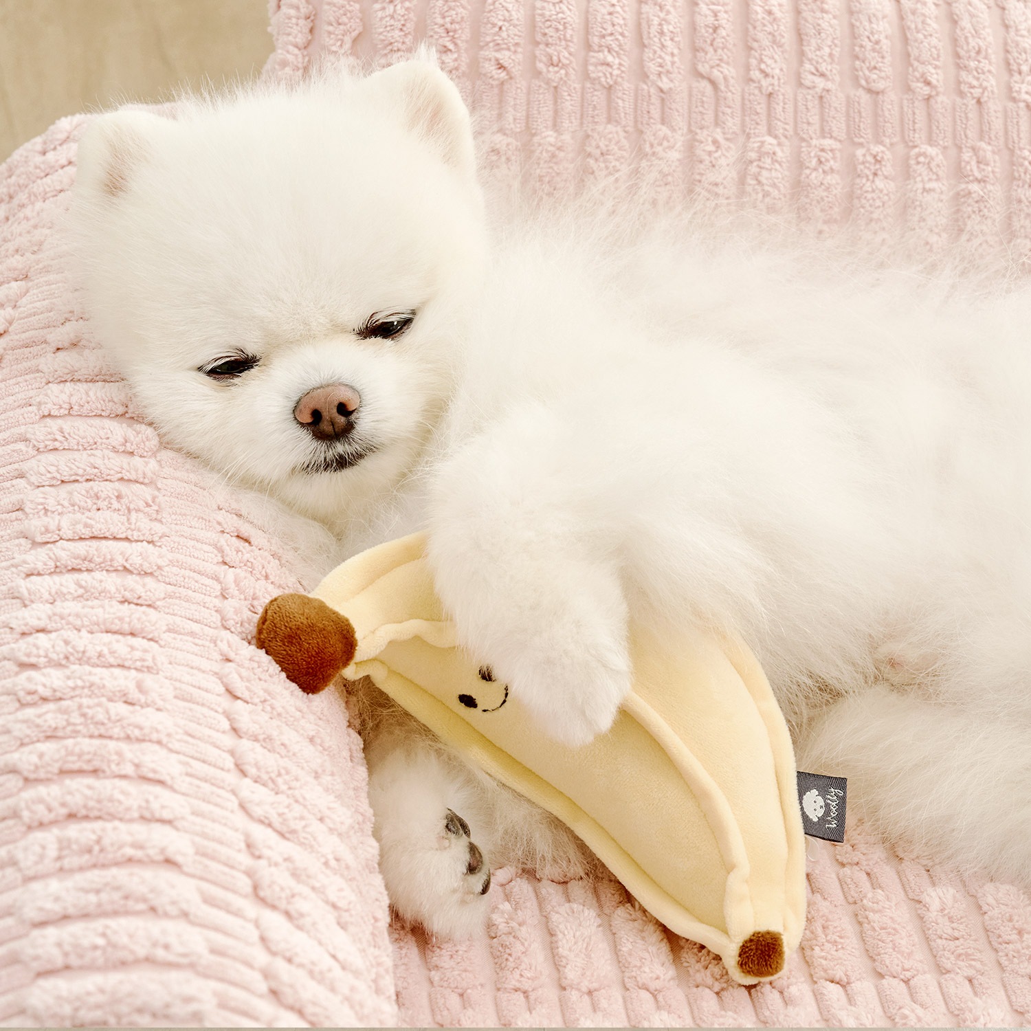 犬クッション　BONGBONG ペットベッド 楽天市場】[☆マントレインコート付き☆] 犬クッション BONGBONG