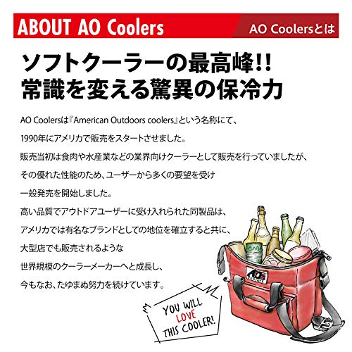 AO : アウトドア Coolers(エーオークーラー)... 定番新品