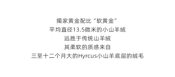 THE R*W 同じスタイルのカスタマイズカラー/カシミア & キャメルヘア & マルベリー シルク & ハイカウント ウール コート