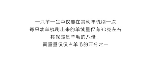 THE R*W 同じスタイルのカスタマイズカラー/カシミア & キャメルヘア & マルベリー シルク & ハイカウント ウール コート