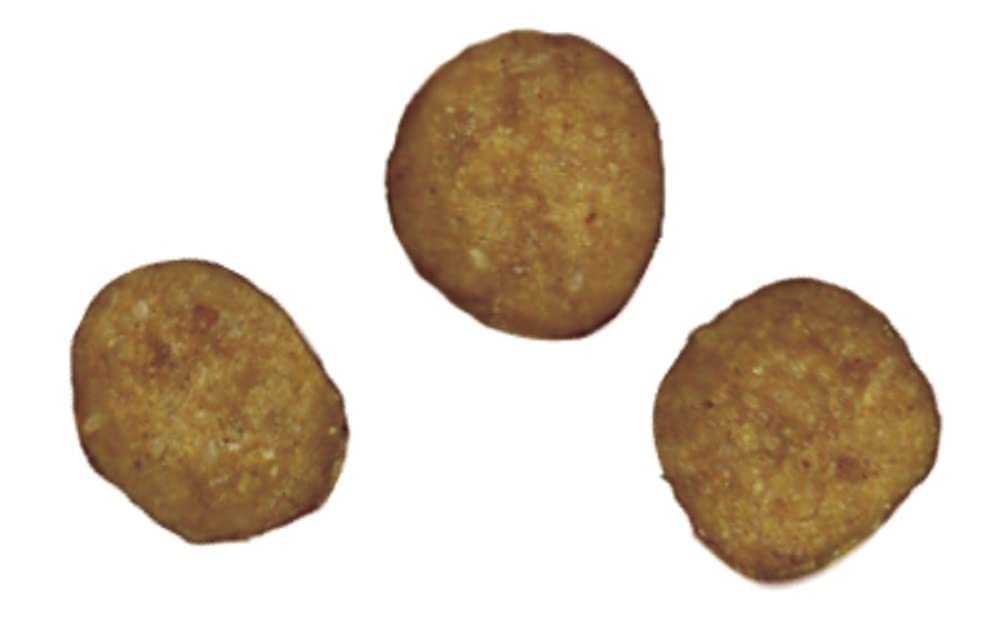 ピュリナワンキャット ドライ 下部尿路の健康維持FLUTHケア サーモン&ツナ 4.4kg(440g×10袋入)【Amazon.co.jp限定】 ピュリナワンキャット ドライ 下部尿路の健康維持FLUTHケア サーモン&ツナ 4.4kg(440g×10袋入)【Amazon.co.jp限定】