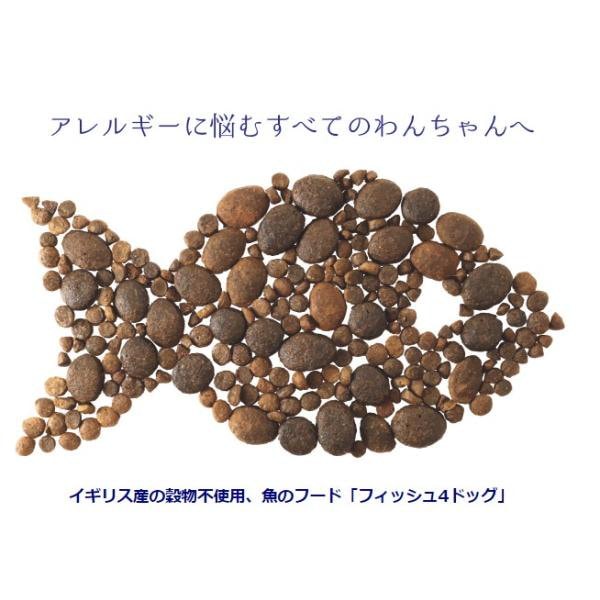 Qoo10] FISH 4 DOGSフィッシュ4ドッグ