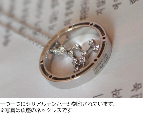 MonchuaLukasha(ルカシャ) 魚座のネックレス MonchuaLukasha(ルカシャ) 魚座のネックレス