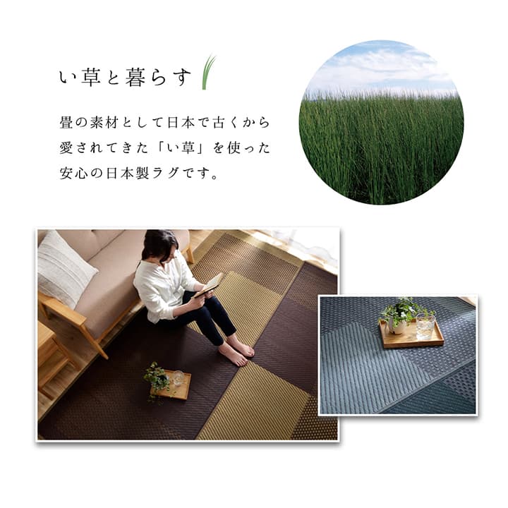 DXモーニング2 い草 い草ラグ カーペット 国産 日本製 モダン 和室 リビング 滑り止め お手入れ簡単 夏 抗菌防臭 調湿 消臭 空気清浄 汚れDXMG191250