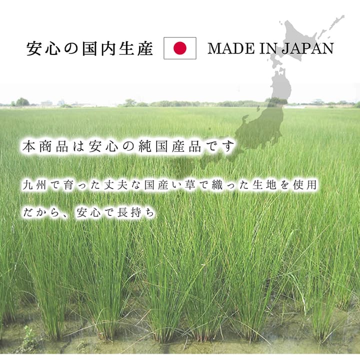 DXモーニング2 い草 い草ラグ カーペット 国産 日本製 モダン 和室 リビング 滑り止め お手入れ簡単 夏 抗菌防臭 調湿 消臭 空気清浄 汚れDXMG191250