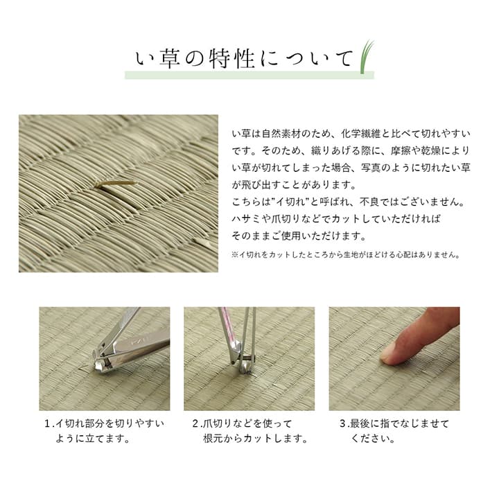 DXモーニング2 い草 い草ラグ カーペット 国産 日本製 モダン 和室 リビング 滑り止め お手入れ簡単 夏 抗菌防臭 調湿 消臭 空気清浄 汚れDXMG191250
