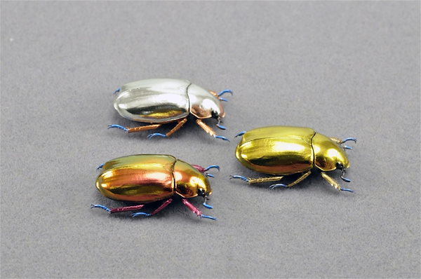 ブラジル産　美麗コガネムシ カブトムシとコガネムシの仲間／世界の珍奇・美麗昆虫 -- 公益