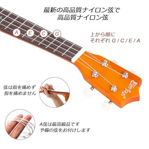 ソプラノウクレレ 初心者パック 21インチ 弦ギグバッグ付き 木製ウクレレ 速習ソングブック ピック ポリッシングクロス オールインワンキット