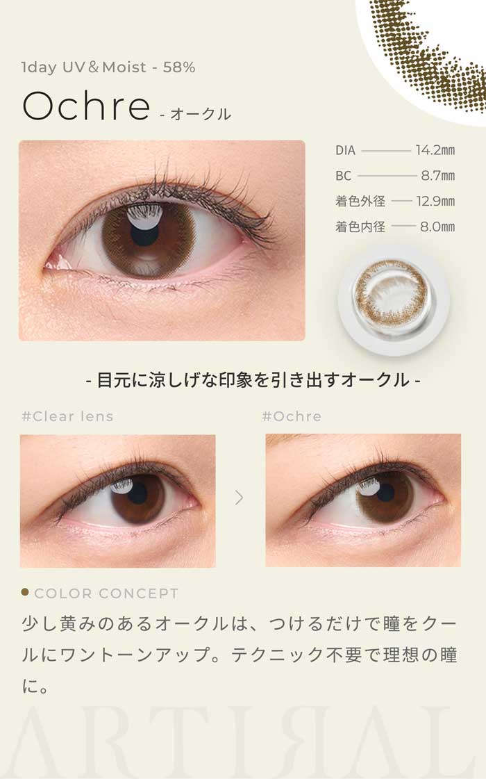 メガ割対象 アーティラルワンデー58UVM(30枚入り)2箱セット/ゆうパケット/1日使い捨て カラコン