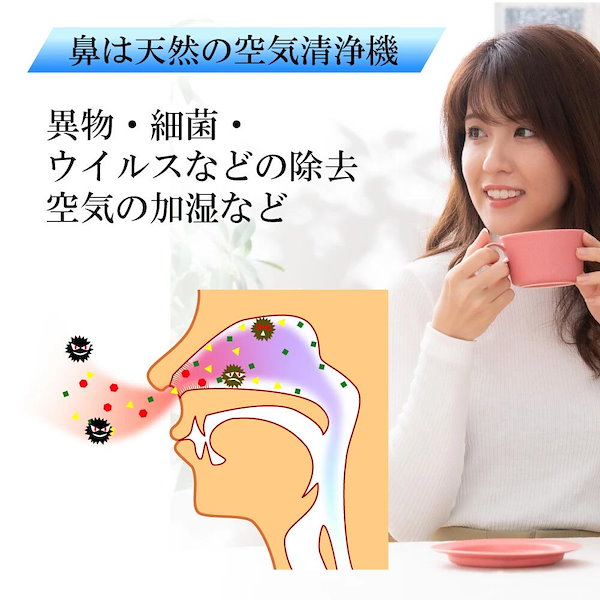 Qoo10] ノッピー 鼻うがい ミスト式電動鼻洗浄器