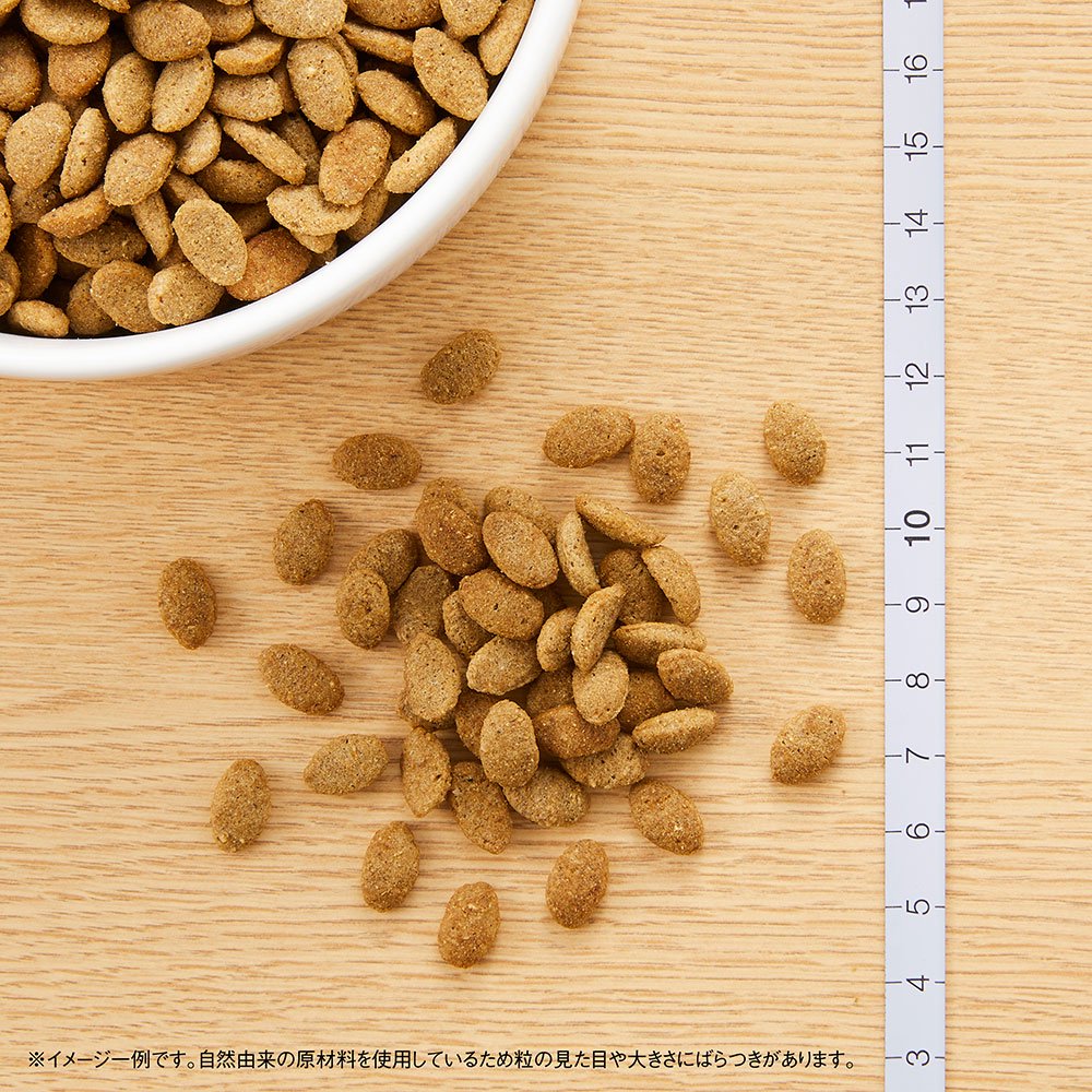 ニュートロ　超小型犬ー小型犬用　体重管理用　３ｋｇ　お一人様５点限り　ＣＲＣ45―02―53―10―00