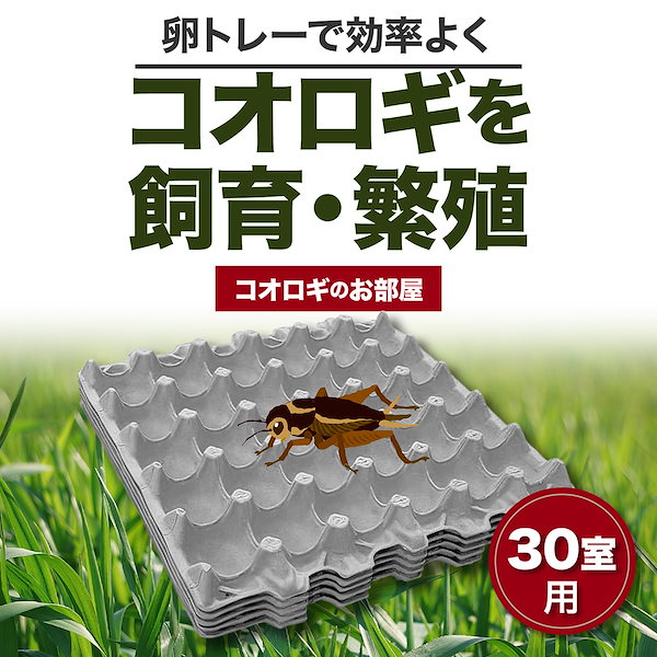 送料無料 卵パック30枚 コオロギ、レッドローチ、デュビアの飼育 - その他