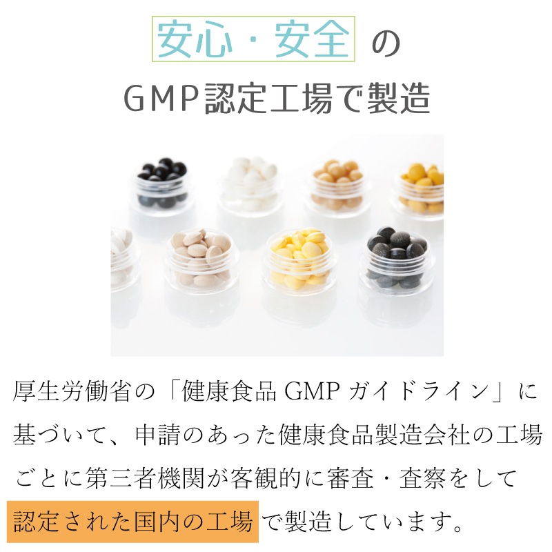 亜鉛サプリ アクトス３ Ｌカルニチン コエンザイムQ10 ３袋セット