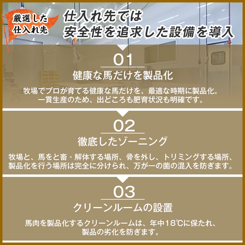 【バイヤーおすすめ 馬刺し】馬刺し 国産 カナダ産国内肥育 赤身約 500g 10人前 馬肉 おつまみ 高級 ばさし あかみ 熊本