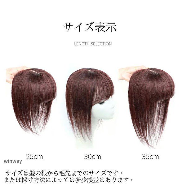 大人気　人毛 前髪ウィッグ 25cm ポイントウィッグ 白髪かくし つけ毛 大人気 人毛 前髪ウィッグ 25cm ポイントウィッグ 白髪かくし