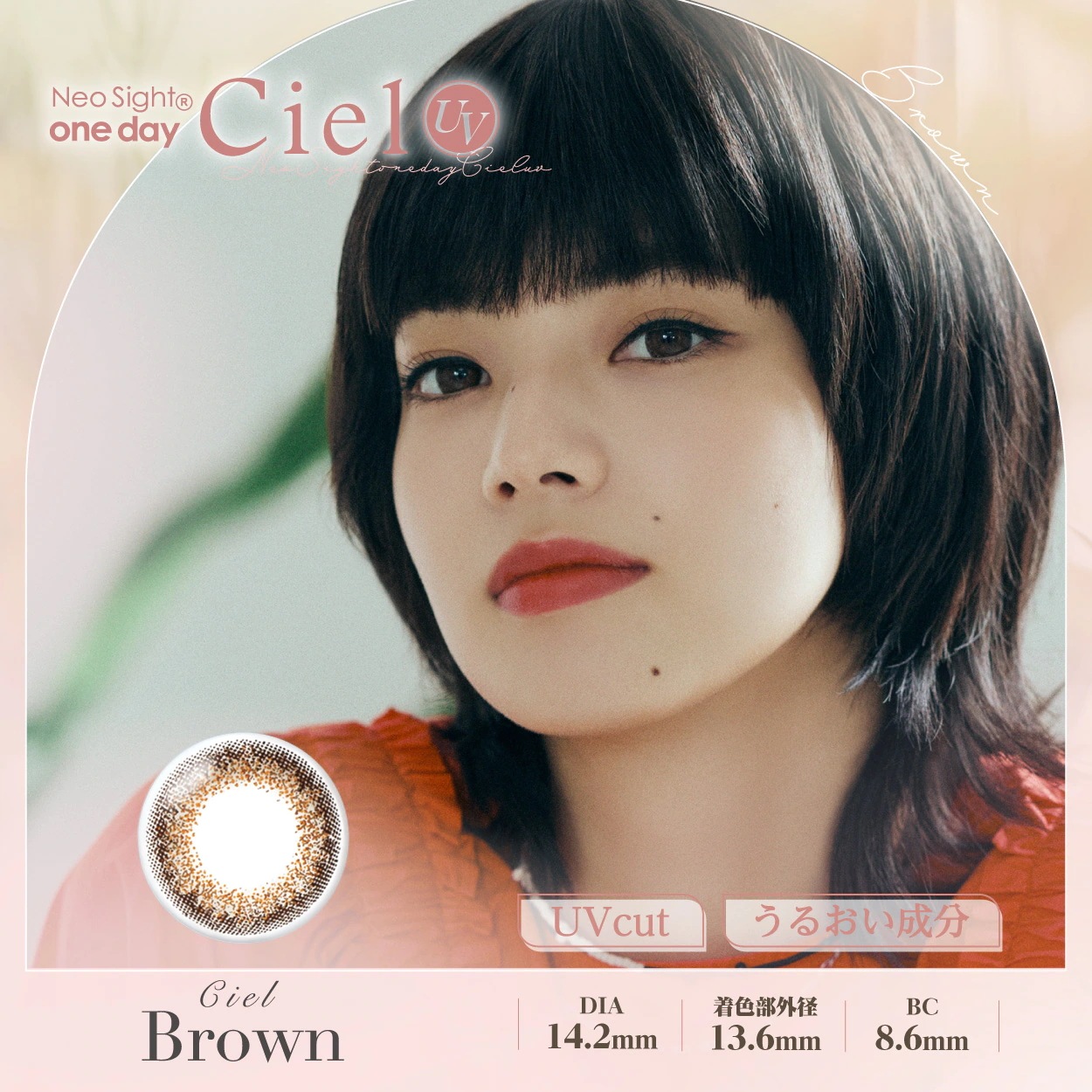 ネオサイトワンデーシエルUV 6箱セット (1箱5枚) お試しパック ワンデー カラーコンタクト カラコン 1日使い捨て ナチュラル 度あり 度なし