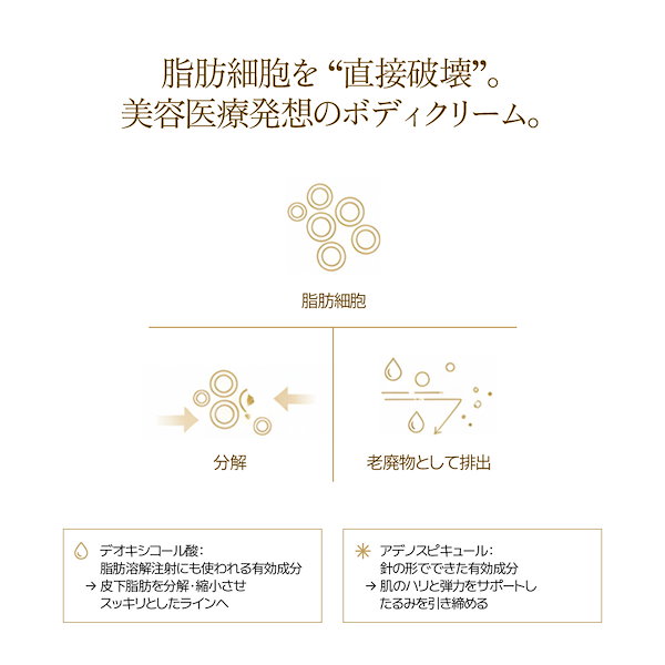 Qoo10] Dr.Blanc 【ランキング入り/韓国ダイエット新定番】