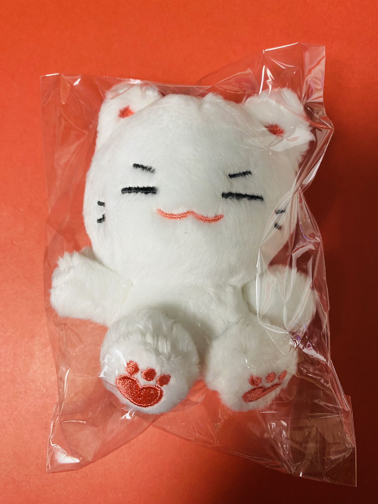 TXT ヨンジュン ペンカフェ マスタニム ぬいぐるみ 10cm 최연준 マスタ TXT ペンカフェ ヨンジュン スビン マスターニム ぬいぐるみ