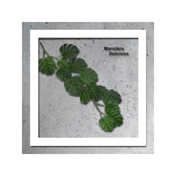 アートフレーム リーフパネル グリーン おしゃれ ウォールデコレーション ナチュラル 壁掛け 飾り 観葉植物 モンステラ 325x325mm アートフレーム リーフパネル グリーン おしゃれ ウォールデコレーション ナチュラル 壁掛け 飾り 観葉植物 モンステラ 325x325mm