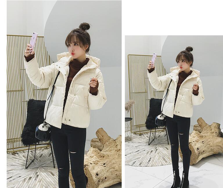 激安フード付きコート中綿コートレディースショート丈コートダウンジャケット5色選択可大きいサイズ 激安フード付きコート中綿コートレディースショート丈コートダウンジャケット5色選択可大きいサイズ