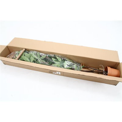 特価 人工観葉植物/インテリアグリーン パキラ : ガーデニング・DIY・工具 新品正規店