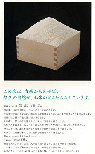 パールライス 青森県産 白米 青天の霹靂 5kg 令和5年産 パールライス 青森県産 白米 青天の霹靂 5kg 令和5年産