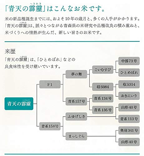 パールライス 青森県産 白米 青天の霹靂 5kg 令和5年産 パールライス 青森県産 白米 青天の霹靂 5kg 令和5年産