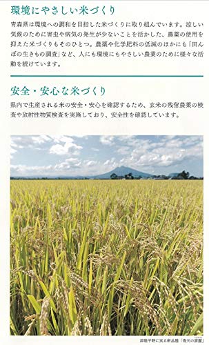 パールライス 青森県産 白米 青天の霹靂 5kg 令和5年産 パールライス 青森県産 白米 青天の霹靂 5kg 令和5年産