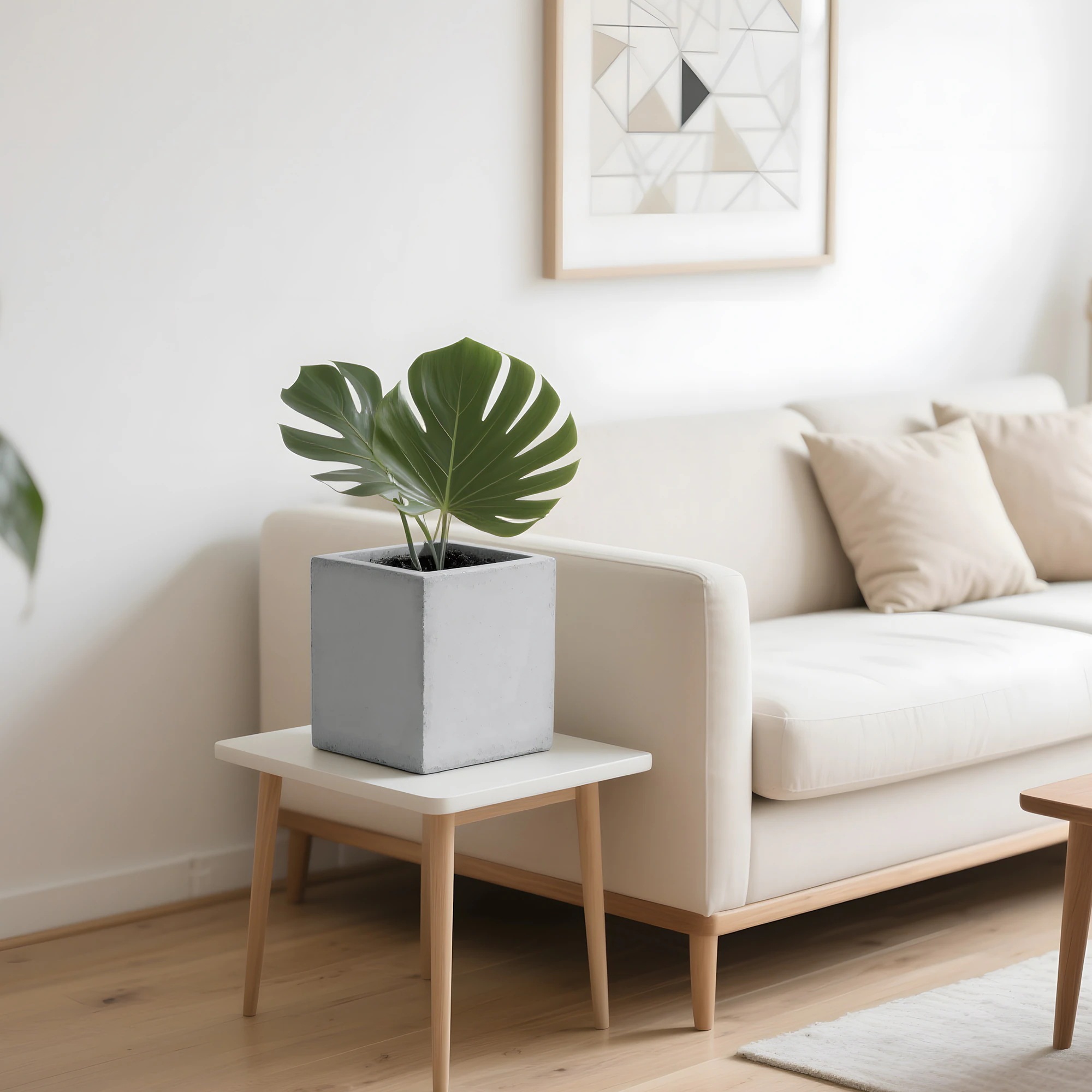 1947S size 植木鉢 おしゃれ 大型植木鉢 軽い 軽量 受け皿 受皿 鉢 屋外用 屋内用 鉢カバー グランピング レストラン 植栽 ガーデン プレゼント 米 籾殻 環境にやさしい 1947S size 植木鉢 おしゃれ 大型植木鉢 軽い 軽量 受け皿 受皿 鉢 屋外用 屋内用 鉢カバー グランピング レストラン 植栽 ガーデン プレゼント 米 籾殻 環境にやさしい