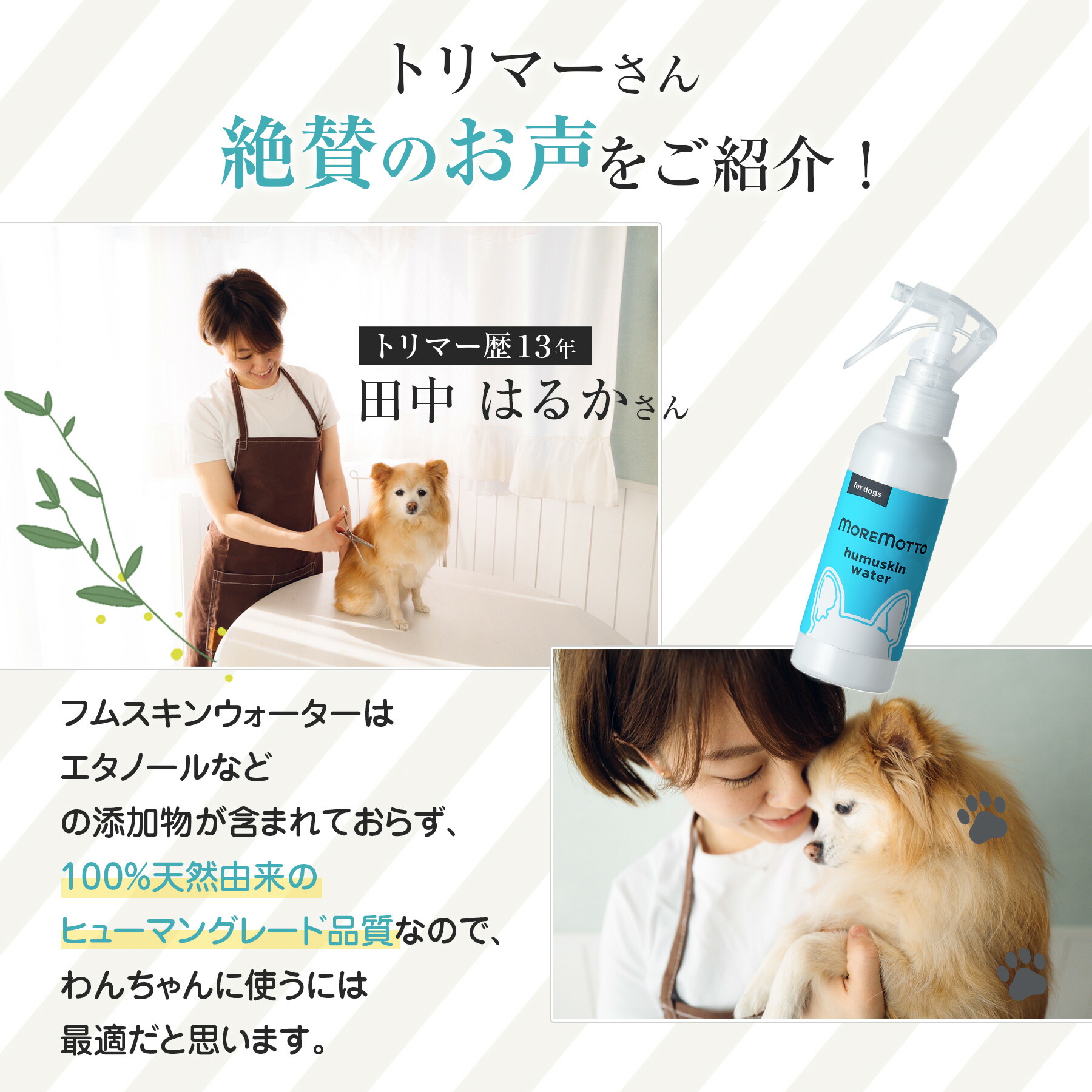 Qoo10] MOREMOTTO フムスキンウォーター 涙やけクリーナー