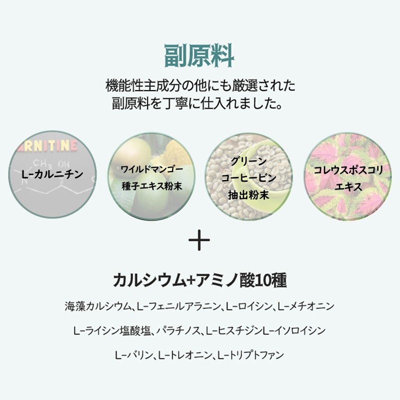 [3+2]ライトカット+13 (28包) ダイエット 漢方ダイエット体脂肪カット炭水化物カットカテキン ガルシニアカンボジア サプリ